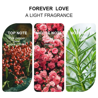 Musk EDP | Long-Lasting Vanilla & Wood Perfume Spray for Women & Men | The Perfect Summer Gift