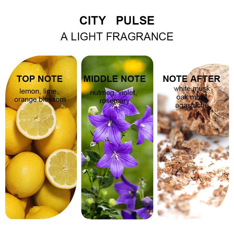 Musk EDP | Long-Lasting Vanilla & Wood Perfume Spray for Women & Men | The Perfect Summer Gift